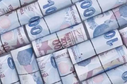 Hazine yaklaşık 30,6 milyar lira borçlandı