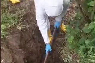 Sakarya'da kayıp Iraklı, fındık bahçesinde toprağa gömülü olarak ölü bulundu