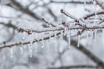 Bursa Valiliği'nden zirai don uyarısı!
