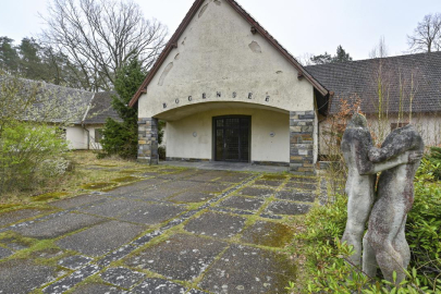 Hitler'in sağ kolu Goebbels'in evi satılamadı