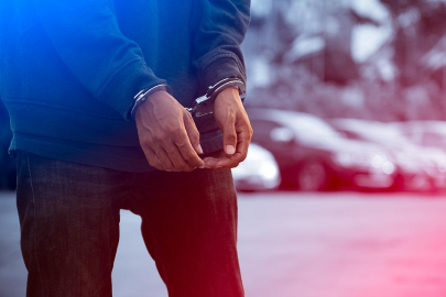 Van'da göçmen kaçakçılığı opersayonu