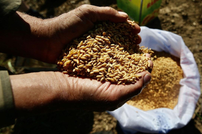 Türkiye'nin tohumda İsrail'e bağımlılığı yok