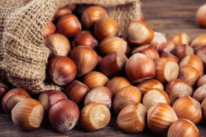 Rekolte düşüklüğü fındık fiyatlarını yükseltti