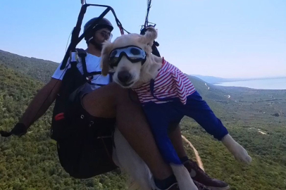 Yamaç paraşütü pilotu, köpeği ile Bursa'da uçuş gösterisi yaptı!