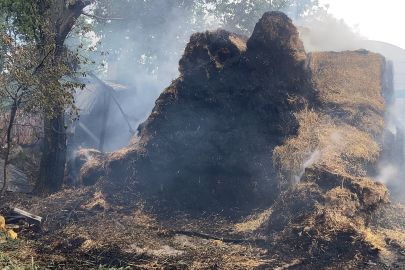 Burdur’da çıkan yangında 3 ton saman yandı