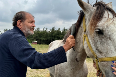 Bursa'da huzurevi sakinleri üniversitedeki çiftlikte ata bindi, tımar yaptı