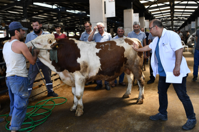 Bursa Osmangazi Belediyesi Kurban Bayramı’na hazır
