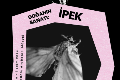 TOFAŞ Bursa Anadolu Arabaları Müzesi'nde yeni fotoğraf sergisi ! Doğa'nın Sanatı: İpek