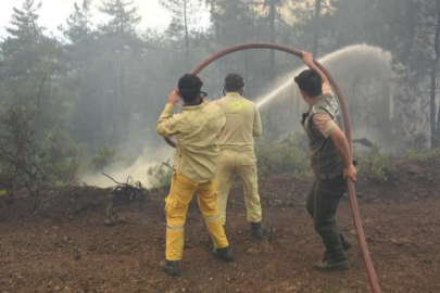 Bursa'da bir orman yangını daha! Büyümeden söndürüldü...