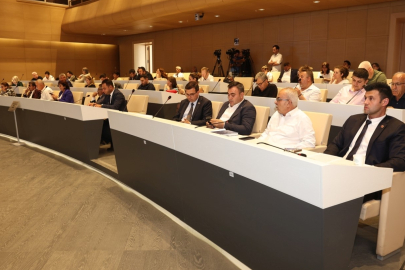 Bursa  Nilüfer'de Sokak Hayvanları Komisyonu kuruldu