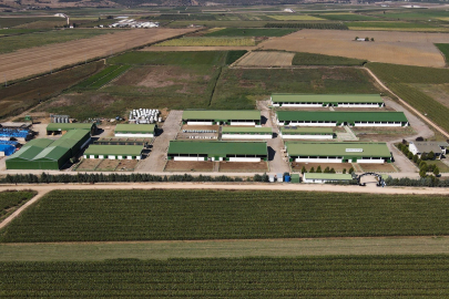 Bursa'daki süt devi en az 20 bin TL maaşla çok sayıda işçi alacak! Doğum günü paketi, fazla mesai imkanı...