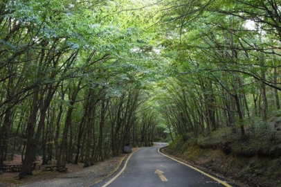 Türkiye genelinde 27 ilde ormanlara girişler yasaklandı