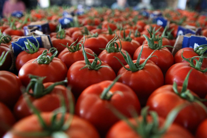 Yaş meyve sebze ihracatından 284 milyon dolarlık gelir