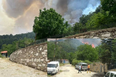 Muğla, Balıkesir ve Denizli'de 4 noktada orman yangını: Havadan ve karadan müdahale sürüyor