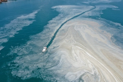 Uzman isimden Marmara için kritik uyarı: Müsilaj geri gelecek