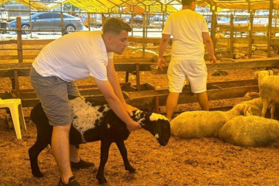 Bayramın 3. gününde kurbanlık alma telaşı sürdü