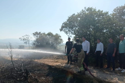 Bursa Yenişehir'deki yangın korkuttu