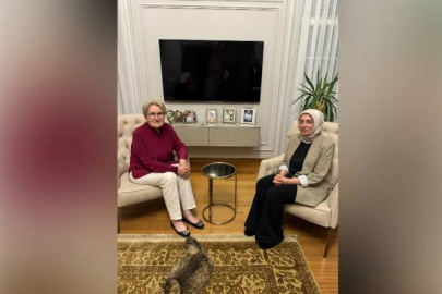 Ayşe Ateş, Meral Akşener'i ziyaret etti