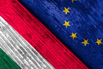 Macaristan AB dönem başkanı oluyor: Budapeşte-Brüksel hattı gergin