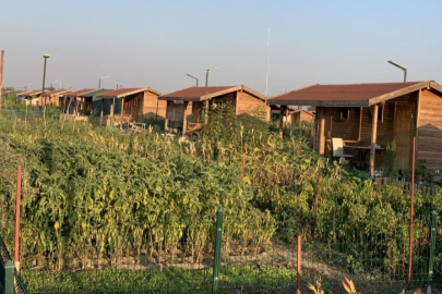 Bursa'da aylık 3 bin 333 TL'ye kiralık hobi bahçesi!