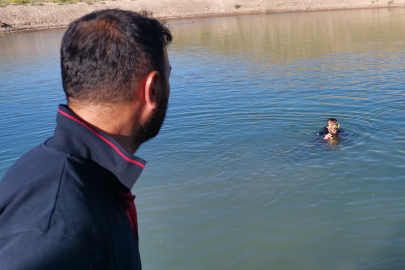 Van'da sulama göletine giren Tarık Can hayatını kaybetti
