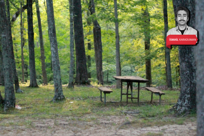 Bursa Mudanya'daki orman parkı 20 yıllığına kiralanacak! Aylık 16 bin 666 TL...