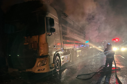 Şanlıurfa Siverek'te alevlere teslim olan tır kullanılamaz hale geldi