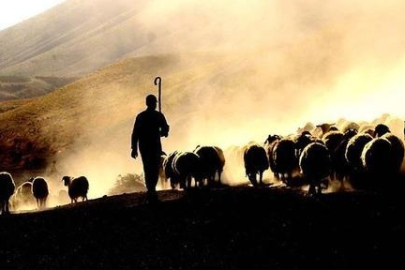 Afgan çoban polemiği alevlendi! Bakan Bolat'ın "Tarım biter" sözleri tartışma yarattı...