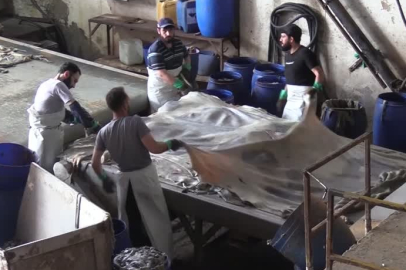 Bursa deri OSB'de günlük 500 ton ham deri işleniyor