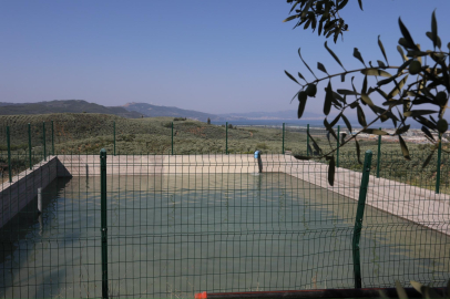 Bursa Gemlik’te zeytin üreticilerine müjde: Hizmete açıldı...