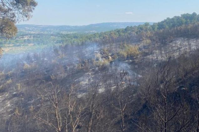 Çanakkale Ayvacık'taki orman yangını ikinci günündeürüyor