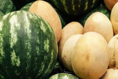 Bursa Büyükşehir Belediyesi kavun ve karpuz dağıtacak