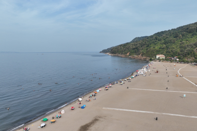 Bursa sahillerinden sevindiren haber!