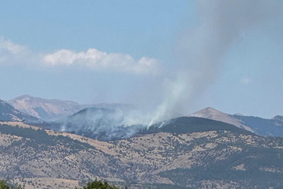 Tunceli'de orman yangını