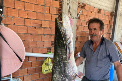 Bursa’da yakalanan 87 kiloluk dev balık şaşkına çevirdi!