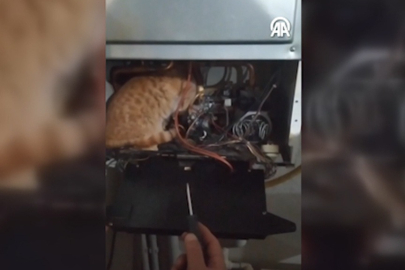 Doğal gaz kombisine sıkışan kedi kurtarıldı