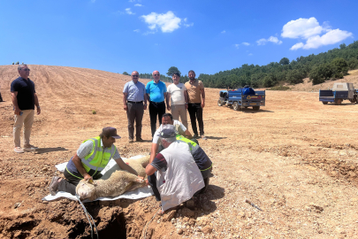 Kutlucan Tekstil’den Yeşil Yatırım hamlesi...