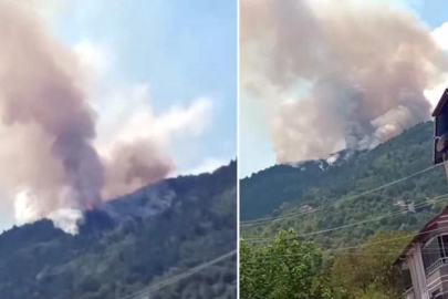 Zonguldak Devrek'te orman yangını: Havadan ve karadan müdahale ediliyor