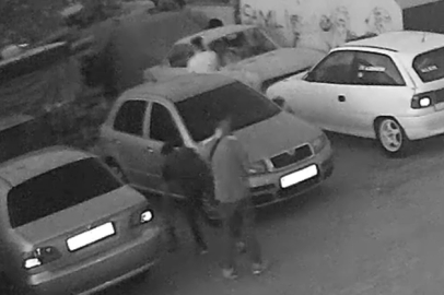 Bursa'da vandallar yarış pilotu Alen Arhanyan'ın aracına saldırdı! Kediyi öldürüp...