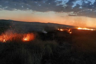 Van’da anız yangını çıktı