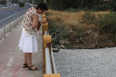 Yunanistan'da binlerce ölü balık paniği: OHAL ilan edildi