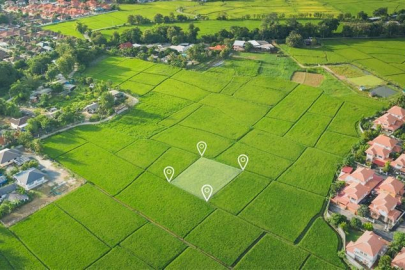 İşlenmeyen tarım arazileri nasıl kiraya verilecek?