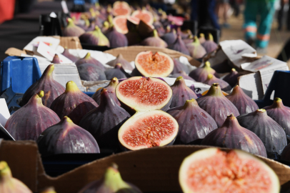 Bursa’nın dünyaca ünlü inciri için festival düzenlendi