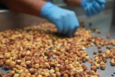 Giresun'da fındık fiyatı açıklandı