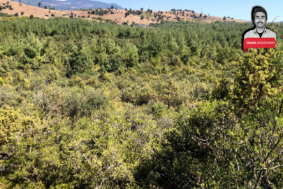 Bursa'da ormanlık alana yapılması planlanan maden projesi iptal! İçme suyu...