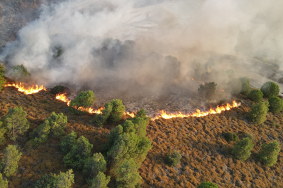 Balıkesir Bandırma'da makilik alanda yangın