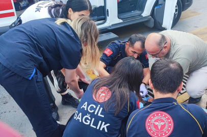 Aydın'da bıçaklı kavga