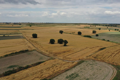 Gelecek yıl 456 bin hektarda arazi toplulaştırma yapılacak