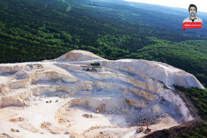 Bursa'da ormana kurulacak taş ocağına onay çıktı! Valilik...