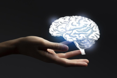 Bilim insanları kalpte "Mini Beyin" keşfetti